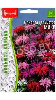 Монарда двойчатая Микс