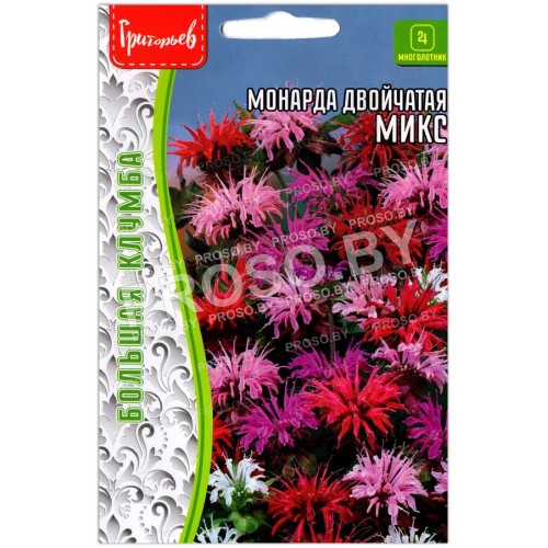 Монарда двойчатая Микс