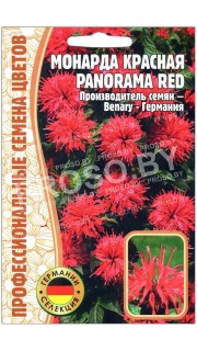 Монарда красная Panorama red