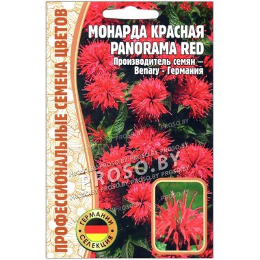 Монарда красная Panorama red