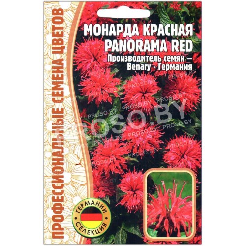 Монарда красная Panorama red