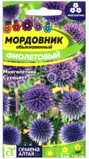 Мордовник Фиолетовый обыкновенный
