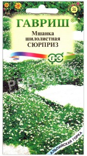 Мшанка шилолистная Сюрприз