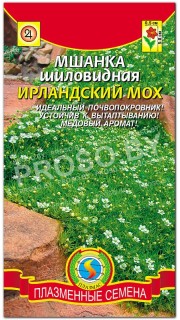 Мшанка шиловидная Ирландский мох