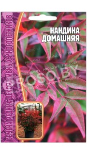 Нандина Домашняя