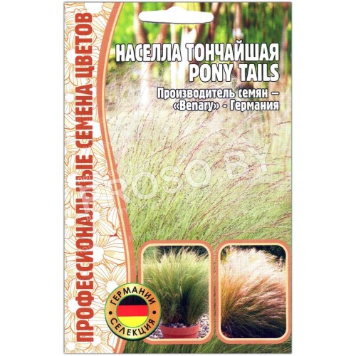 Населла тончайшая Pony tails