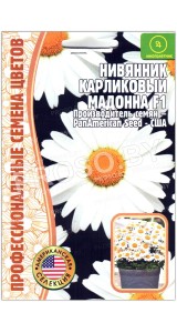 Нивяник карликовый Мадонна F1