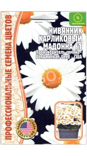 Нивяник карликовый Мадонна F1