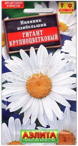 Нивяник наибольший Гигант крупноцветковый