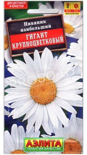 Нивяник наибольший Гигант крупноцветковый