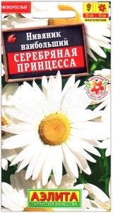 Нивяник наибольший Серебряная принцесса