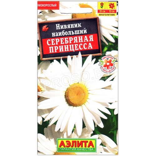 Нивяник наибольший Серебряная принцесса