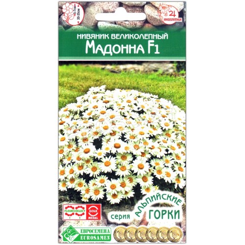 Нивяник великолепный Мадонна F1