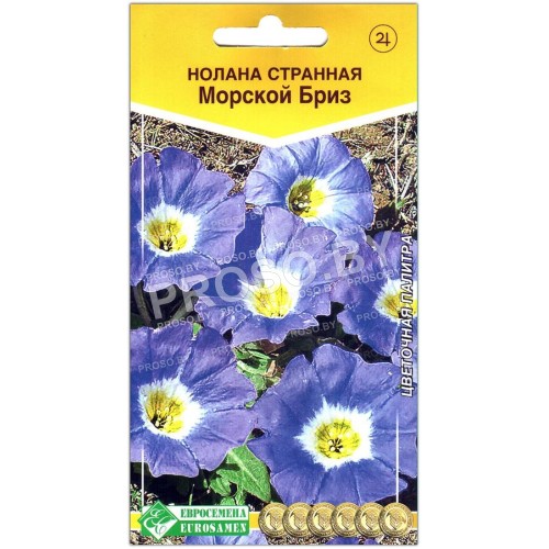 Нолана странная Морской бриз