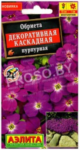 Обриета Декоративная каскадная пурпурная