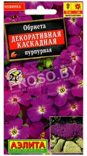 Обриета Декоративная каскадная пурпурная