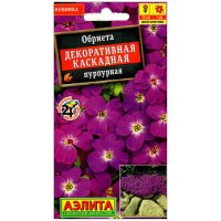 Обриета Декоративная каскадная пурпурная Обриета Декоративная каскадная пурпурная