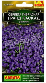 Обриета гибридная Гранд каскад синяя