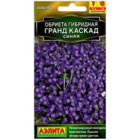 Обриета гибридная Гранд каскад синяя