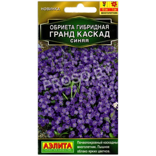 Обриета гибридная Гранд каскад синяя