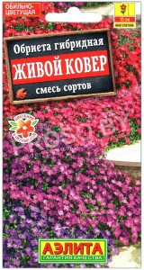 Обриета гибридная Живой ковер, смесь