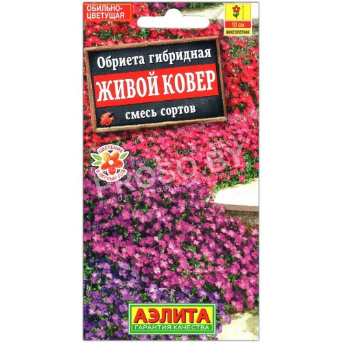 Обриета гибридная Живой ковер, смесь