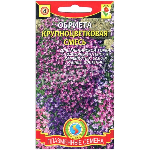Обриета Крупноцветковая смесь