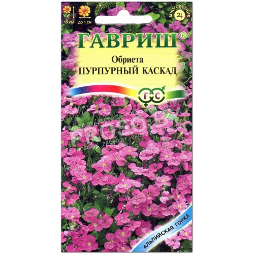 Обриета Пурпурный каскад
