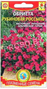 Обриета Рубиновая россыпь