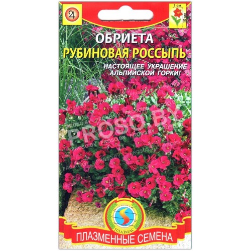 Обриета Рубиновая россыпь