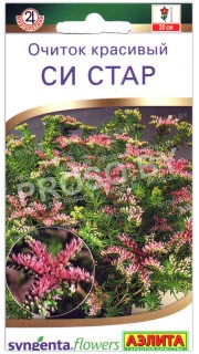 Очиток красивый Си стар