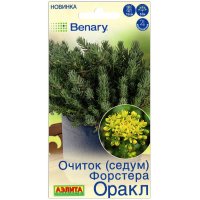 Очиток (седум) Форстера оракл Очиток (седум) Форстера оракл