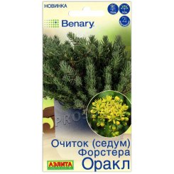 Очиток (седум) Форстера оракл