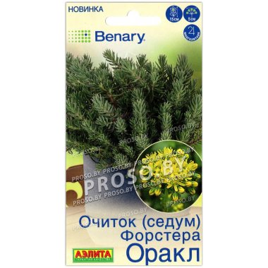 Очиток (седум) Форстера оракл