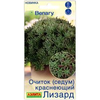 Очиток (седум) краснеющий Лизард