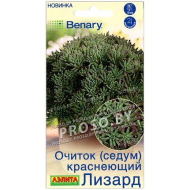 Очиток (седум) краснеющий Лизард