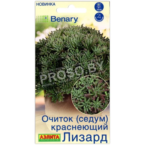 Очиток (седум) краснеющий Лизард