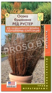 Осока бушанана Ред Рустер