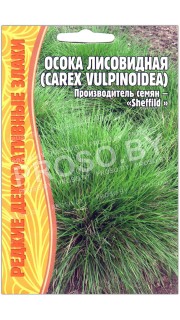 Осока лисовидная Carex vulpinoidea