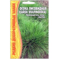 Осока лисовидная Carex vulpinoidea
