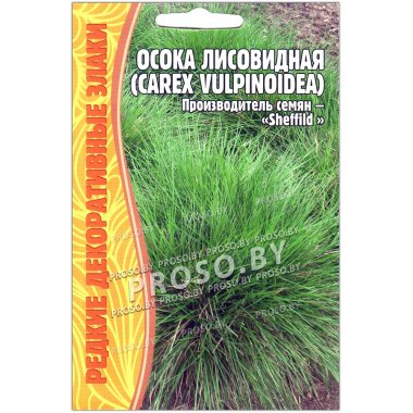 Осока лисовидная Carex vulpinoidea