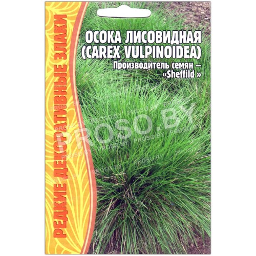 Осока лисовидная Carex vulpinoidea