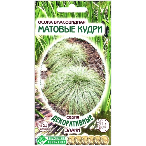 Осока власовидная Матовые кудри