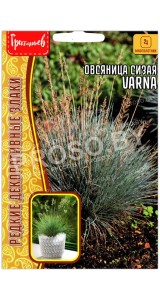 Овсяница сизая Varna
