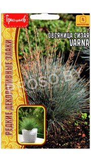 Овсяница сизая Varna