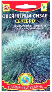 Овсяница сизая Серебро