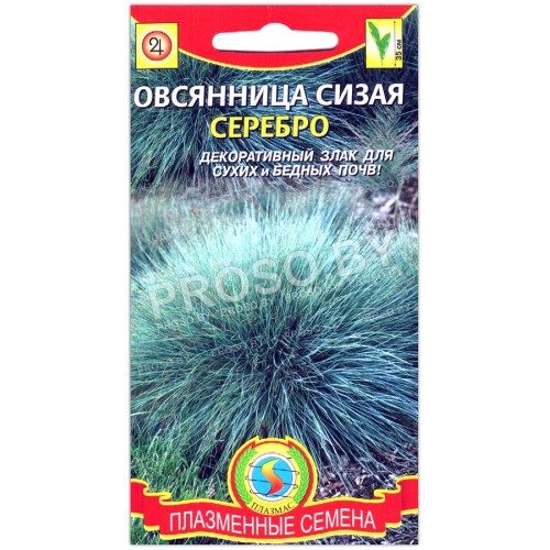 Овсяница сизая Серебро