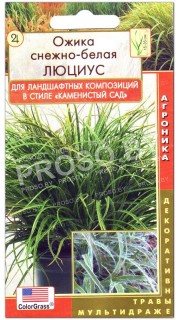 Ожика снежно-белая Люциус
