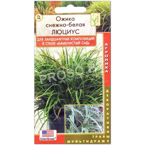 Ожика снежно-белая Люциус