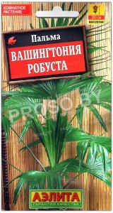 Пальма Вашингтония робуста